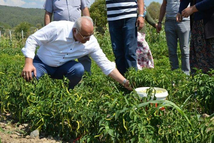 Başkan Tatlıoğlu’ndan Yöre Kadınlarına İstihdam Desteği G5