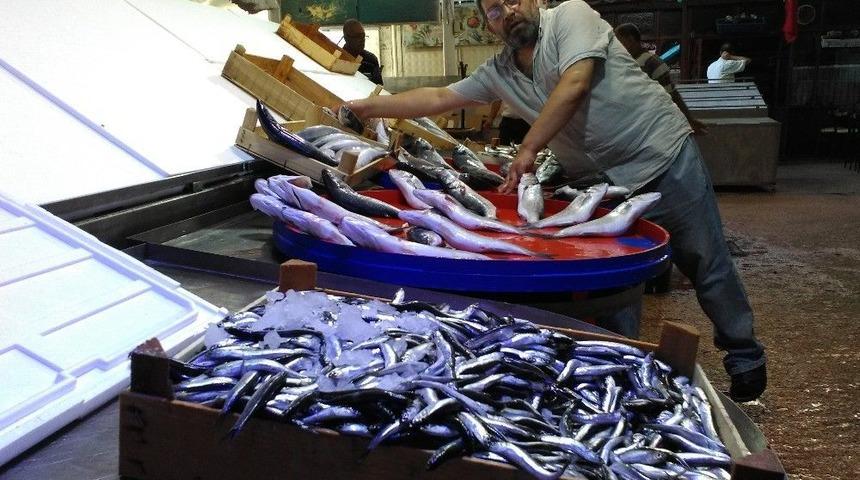 Hamsi 15 Liradan Tezgâha İndi