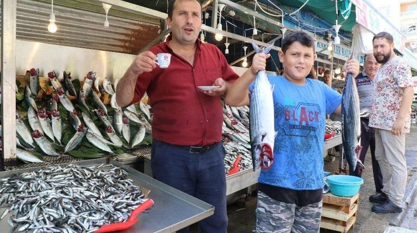 (özel) Balık Sezonunun Açıldı, Hem Balıkçıların Hem De Vatandaşların Yüzü Güldü
