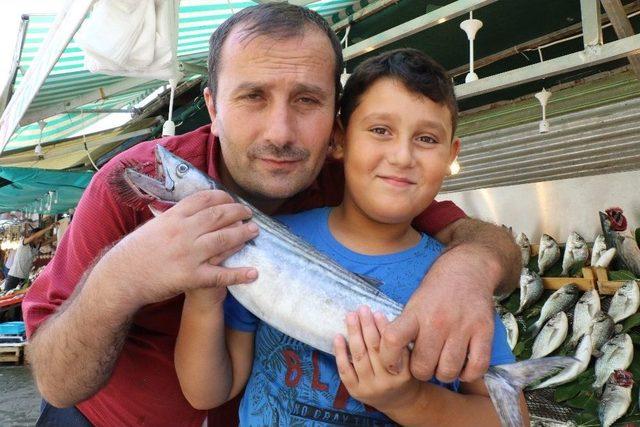 (özel) Balık Sezonunun Açıldı, Hem Balıkçıların Hem De Vatandaşların Yüzü Güldü