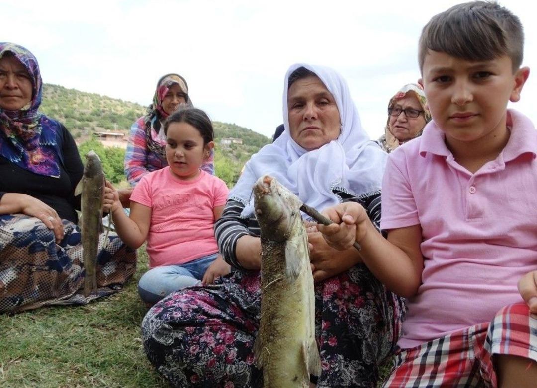 Domani&ccedil;&rsquo;teki Balık &Ouml;l&uuml;mlerine Vatandaşlardan Tepki