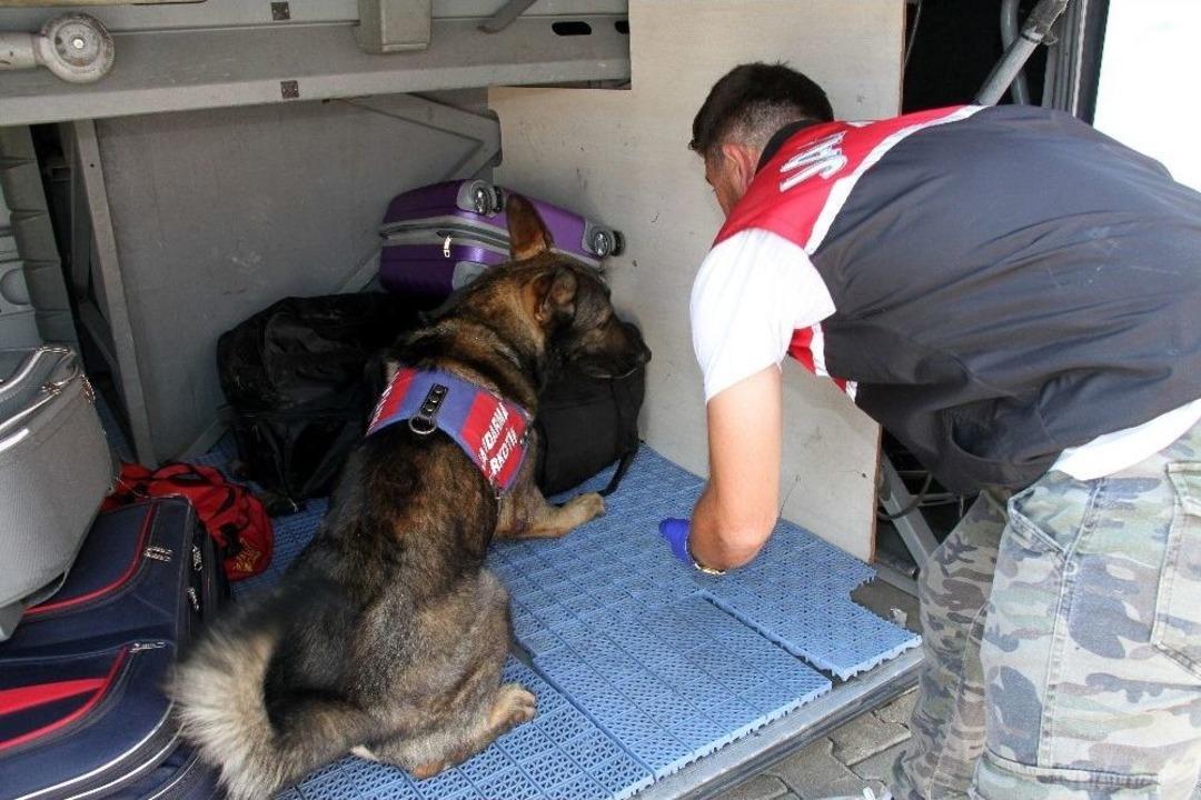 &Ccedil;&uuml;r&uuml;k Lahana İ&ccedil;erisine Gizlenmiş 15 Kilo Eroin Ele Ge&ccedil;irildi