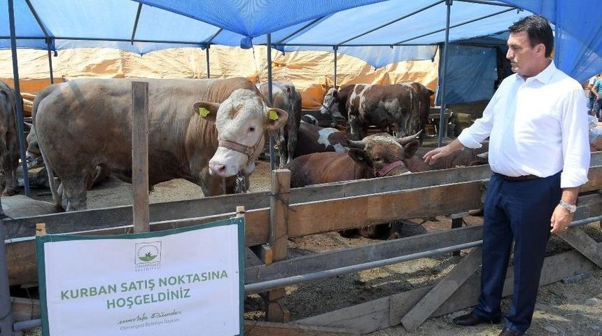 Başkan Dündar Kurban Pazarını Gezdi