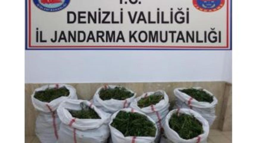 Jandarmadan 102 Kilo Dev Esrar Operasyonu
