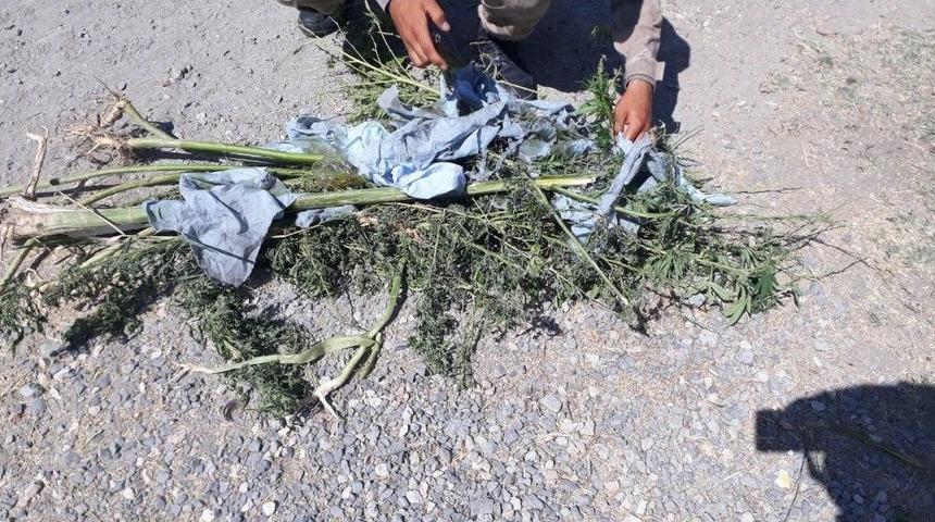 Elazığ’da 1,5 Kilo Esrar Ele Geçirildi