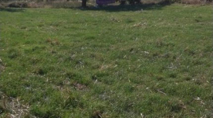 Manisa’da Bir Kişi Doğum Gününde İntihar Etti