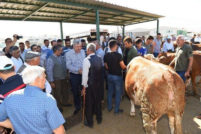 Büyükşehir, Hayvan Pazarı’nda Önlemler Aldı