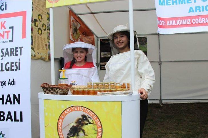 Ardahan’da Bal Festivali Coşkusu G1