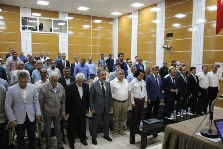 Ardahan’da Bal Festivali Coşkusu G3