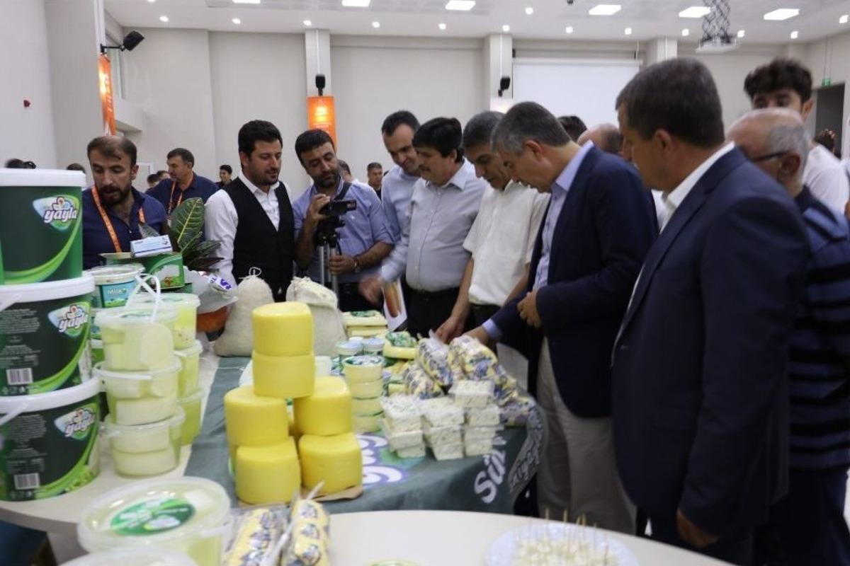 Doğu Anadolu&rsquo;nun Birbirinden Lezzetli Peynirleri Bitlis&rsquo;te Buluştu