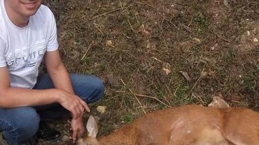 Yaralı Karacaya Vatandaş Şefkati