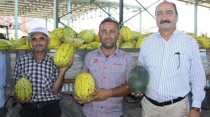 &Ccedil;ankırı&rsquo;da Kavun &Uuml;retimi Y&uuml;zleri G&uuml;ld&uuml;rd&uuml;