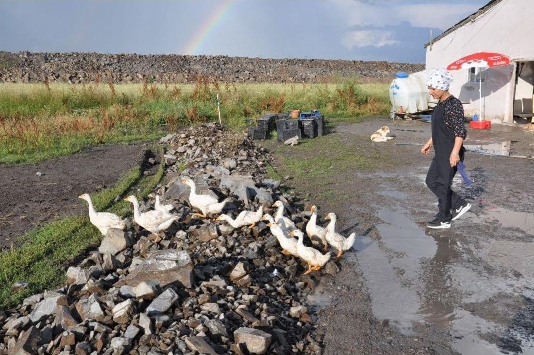 Hayallerini Toprağa G&ouml;md&uuml;