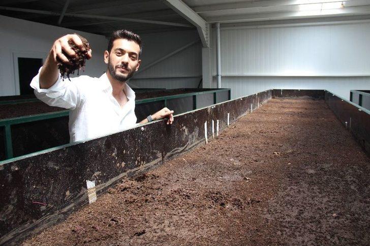 Solucan Sevgisi İş Sahibi Yaptı G1