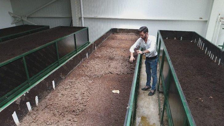 Solucan Sevgisi İş Sahibi Yaptı G3