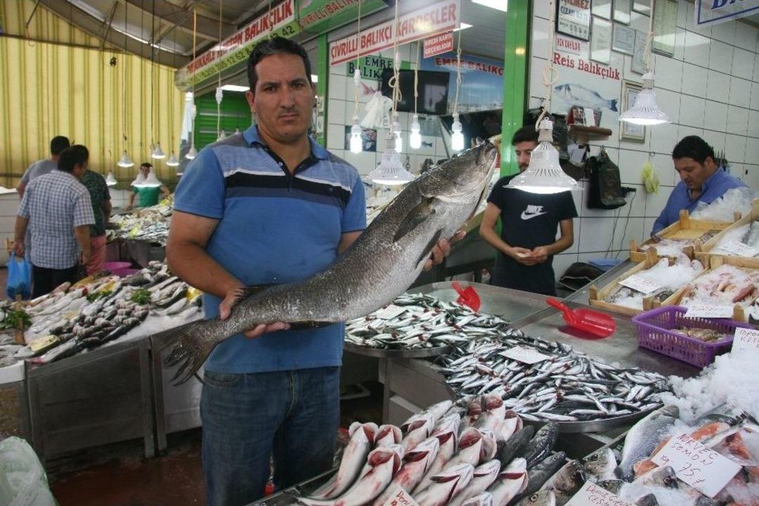 Denizli&rsquo;de Balıklar Tezgahlardaki Yerini Aldı