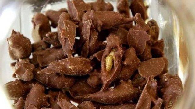 Çikolata Kaplı Her Şeyi Yiyebilir Misiniz? Bir Daha Düşünün!