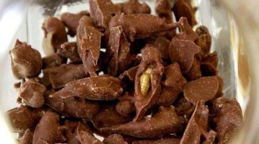 Çikolata Kaplı Her Şeyi Yiyebilir Misiniz? Bir Daha Düşünün!