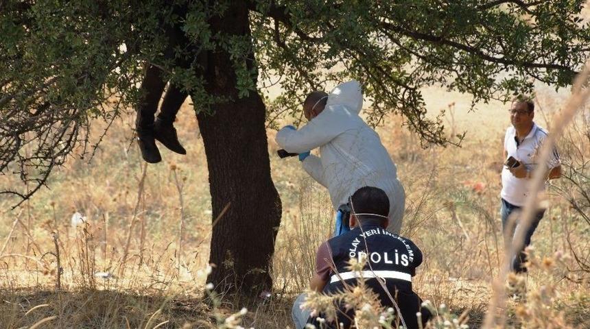 Aydın&rsquo;da Ağaca Asılı Halde Erkek Cesedi Bulundu