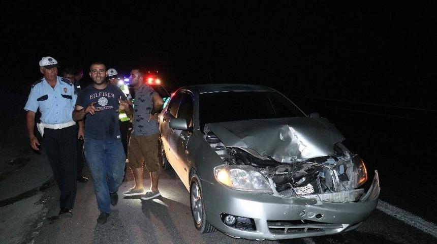 Otoyola &Ccedil;ıkan Koyun Faciaya Neden Oluyordu