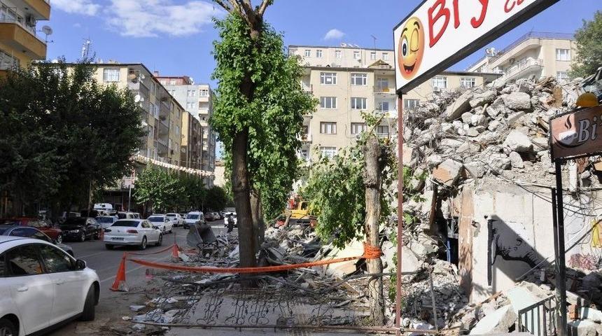 Molozlar Ağa&ccedil;lara Zarar Verdi