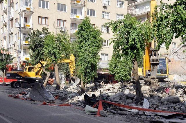 Molozlar Ağaçlara Zarar Verdi