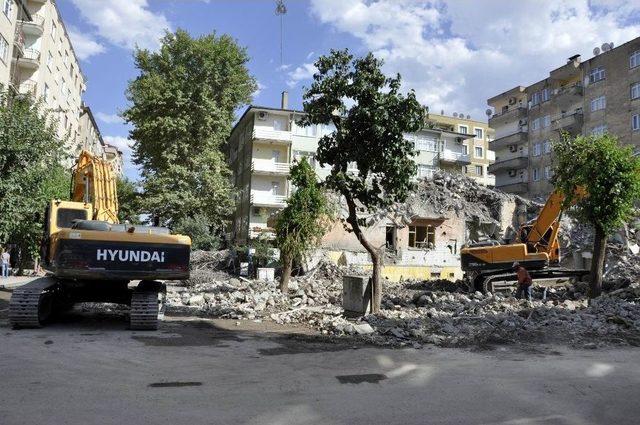 Molozlar Ağaçlara Zarar Verdi