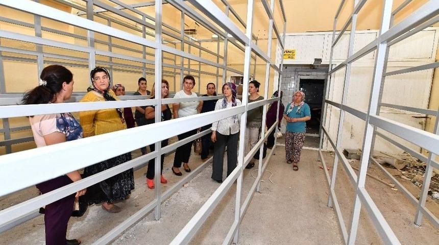 İstiridye Mantarı Yetiştiren Kadınlar Artık İş Dünyasında