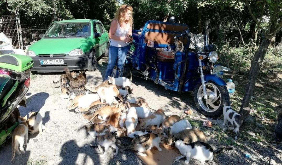 Hayvanların Nino&rsquo;su