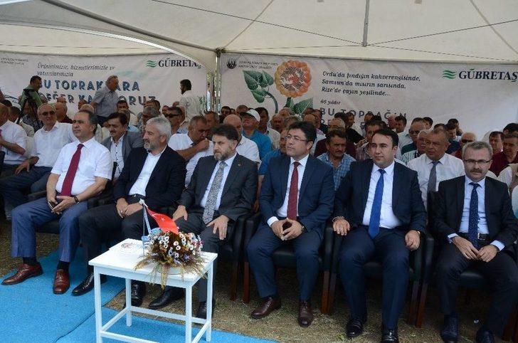 Gübretaş Model Bahçe Uygulamasında Rekor Fındık G1