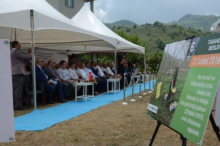 Gübretaş Model Bahçe Uygulamasında Rekor Fındık G3