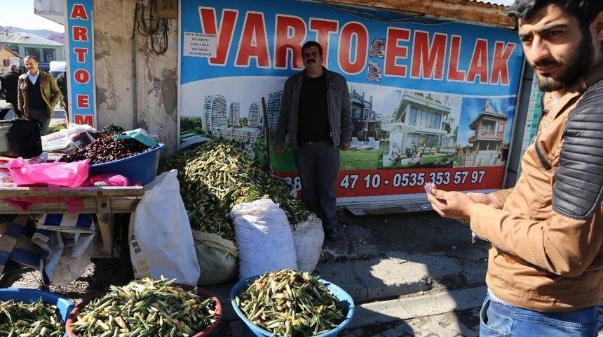 Varto&rsquo;da Baharın M&uuml;jdecisi &lsquo;g&uuml;lbahar&rsquo; Bitkisi Tezg&acirc;hlarda