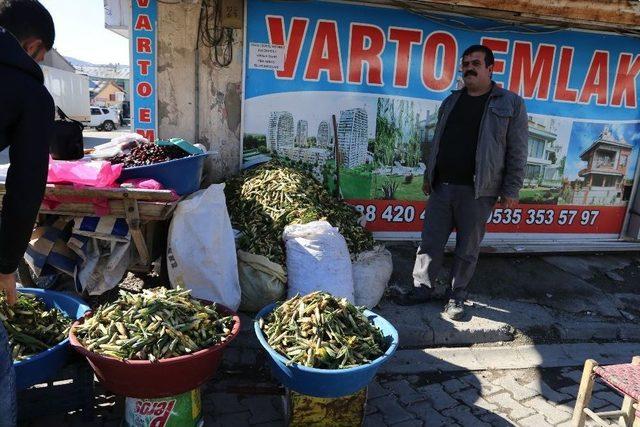 Varto’da Baharın Müjdecisi ‘gülbahar’ Bitkisi Tezgâhlarda