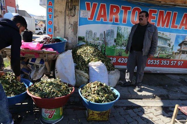 Varto’da Baharın Müjdecisi ‘gülbahar’ Bitkisi Tezgâhlarda