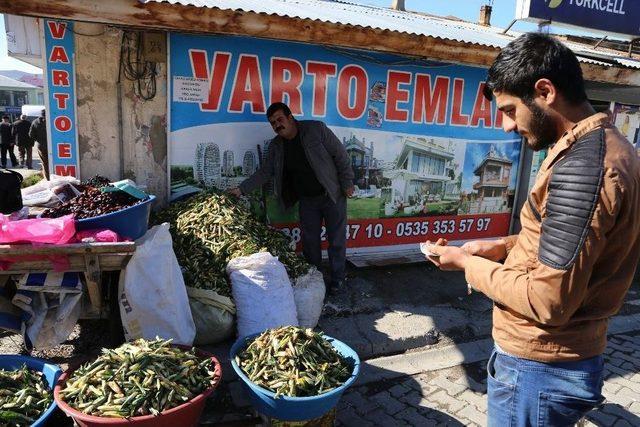 Varto’da Baharın Müjdecisi ‘gülbahar’ Bitkisi Tezgâhlarda