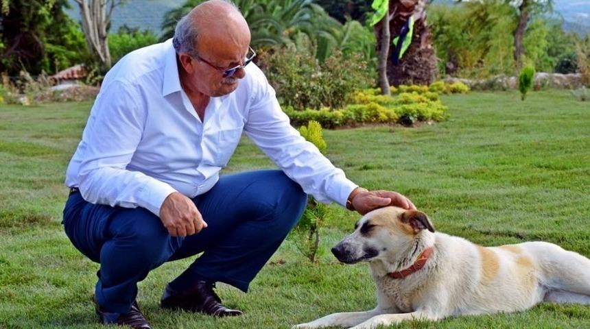 İznik Sahili Botanik Bahçesini Andırıyor