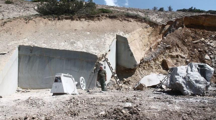 &rsquo;zeytin Dalı&rsquo;nın Balkanlar&rsquo;a İhracatı Başladı