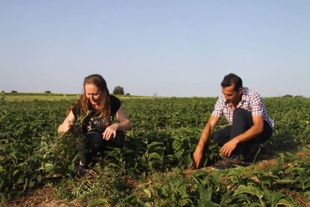 (&ouml;zel) Karı Koca Birlikte Şifa Ekiyor