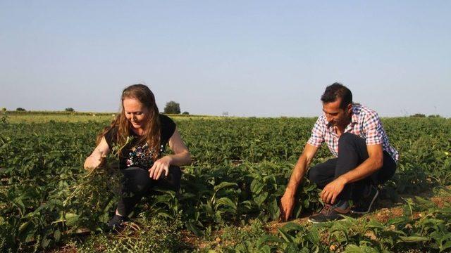 (özel) Karı Koca Birlikte Şifa Ekiyor