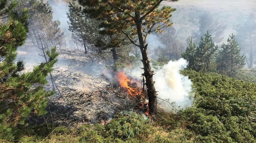 G&uuml;m&uuml;şhane&rsquo;de Orman Yangını