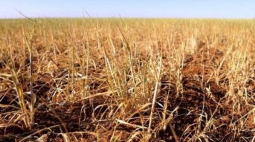 &Uuml;reticilerin Hasar İhbarında Bulunması Kolaylaştı