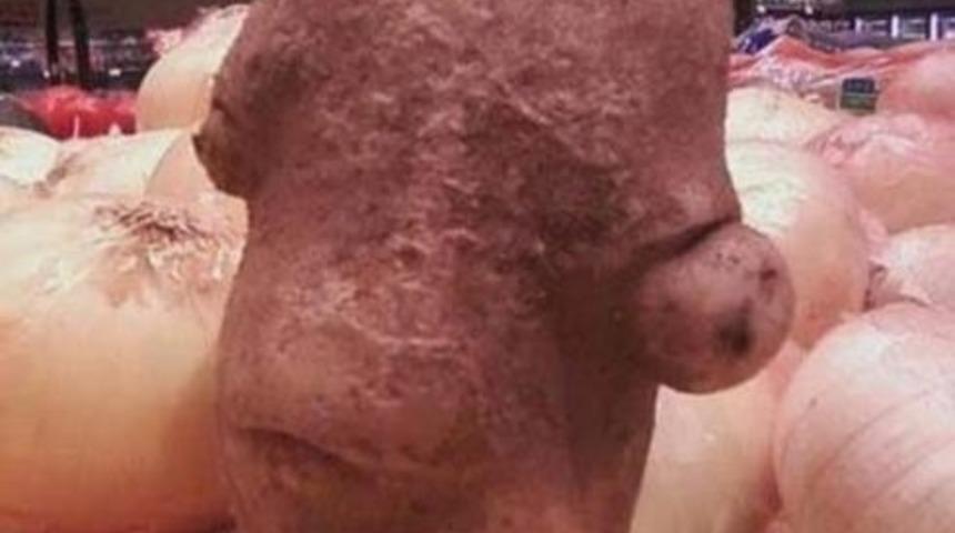 Ş&uuml;phe Uyandıracak Derecede &Uuml;nl&uuml;lere Benzeyen 19 Yiyecek