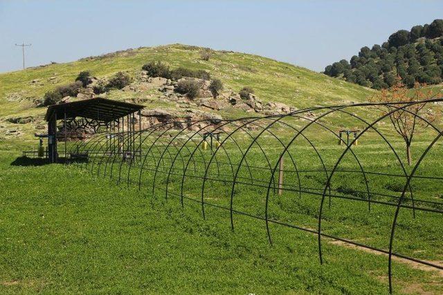 Kuşadası Belediyesi’nden Akıllı Köye Teknik Gezi