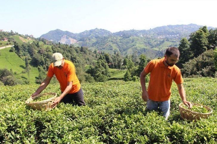 Dünyada Sadece Of’ta Üretiliyor G2