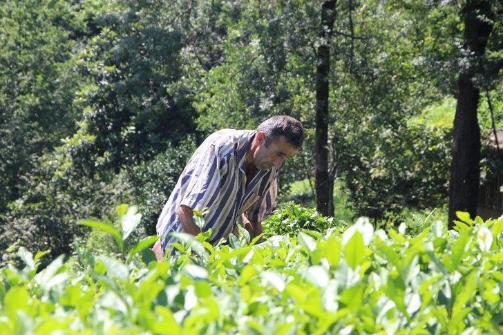 Dünyada Sadece Of’ta Üretiliyor G5