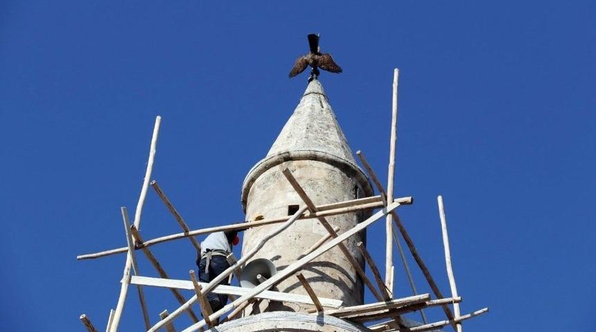 Ayağı Minare Alemine Takılan Şahin Kurtarıldı