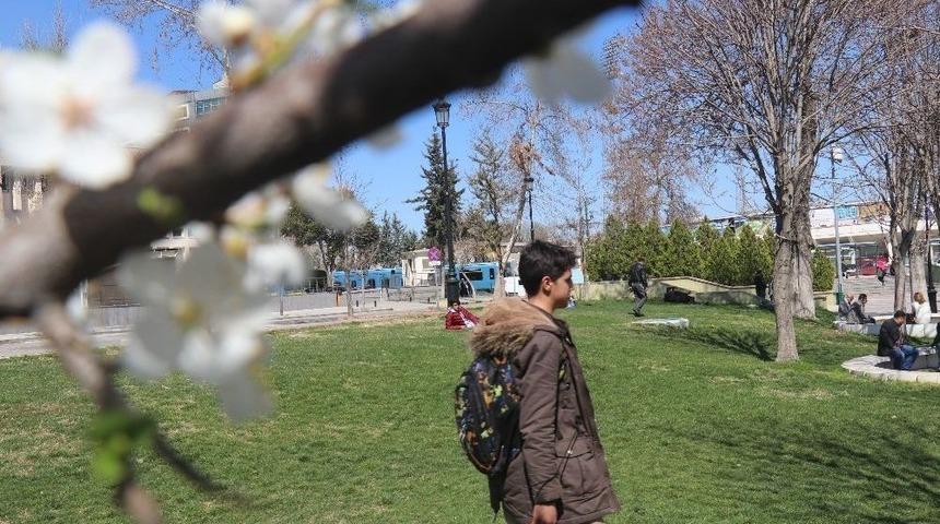 Gaziantep&rsquo;e Bahar Erken Geldi