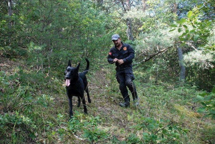 Evrim’in Traktör Kazasında Öldüğü Şüphesi G2