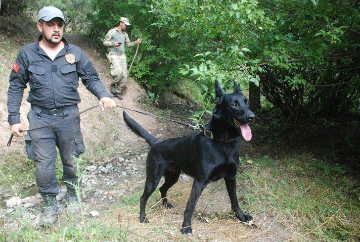 Evrim’in Traktör Kazasında Öldüğü Şüphesi G3