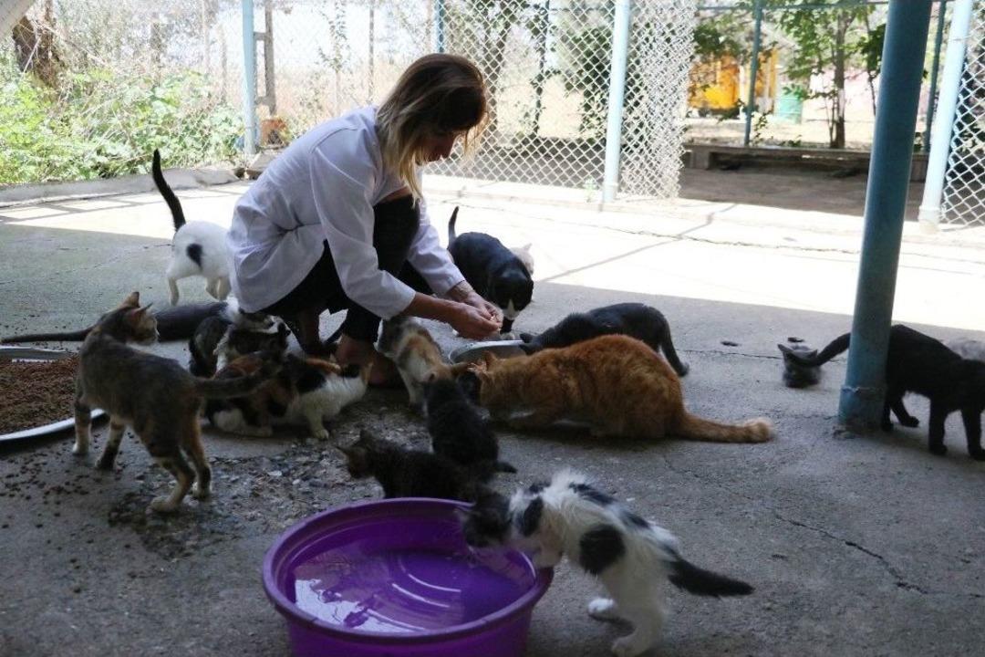 Veterinerden Hayvanlar İ&ccedil;in &lsquo;su&rsquo; Uyarısı